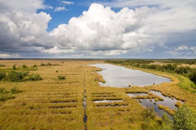 Fochteloerveen