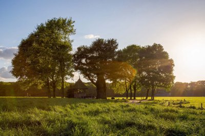 Kroezeboom twente culinary