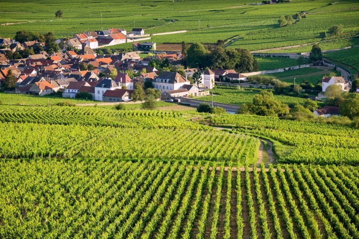 cycling holiday Burgund