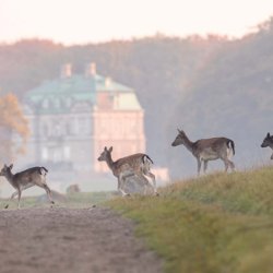 Denmark Frederiksborg