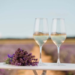 Drinking wine in the Provence