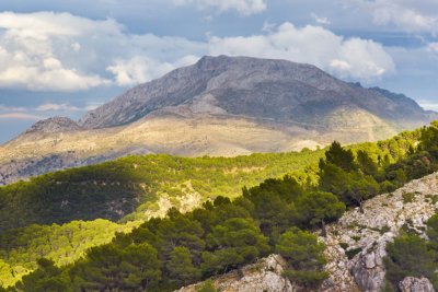 Sierra de las nieves