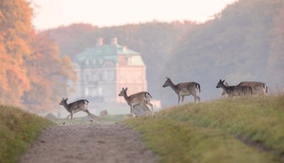 cycling holiday denmark