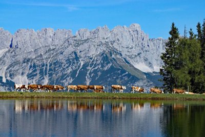 walchsee cycling holiday