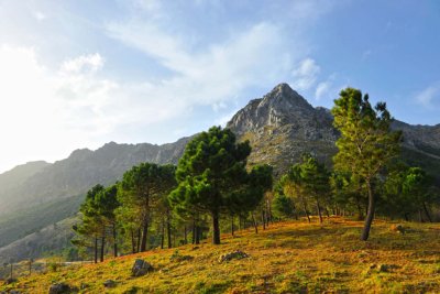 Grazalema cycling