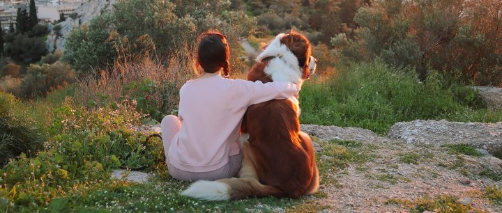 Radreise mit Hund