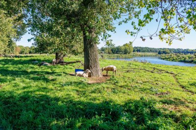 Maastricht cycling holiday Maaseik