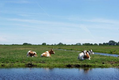 Woerden holiday cycling