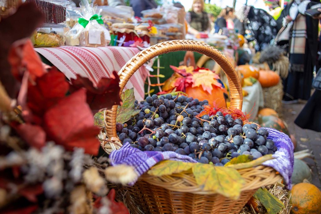 grapes in basket - bordeaux