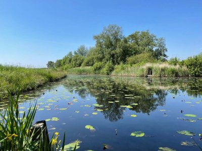 Cycle tours Groningen Alde Feanen