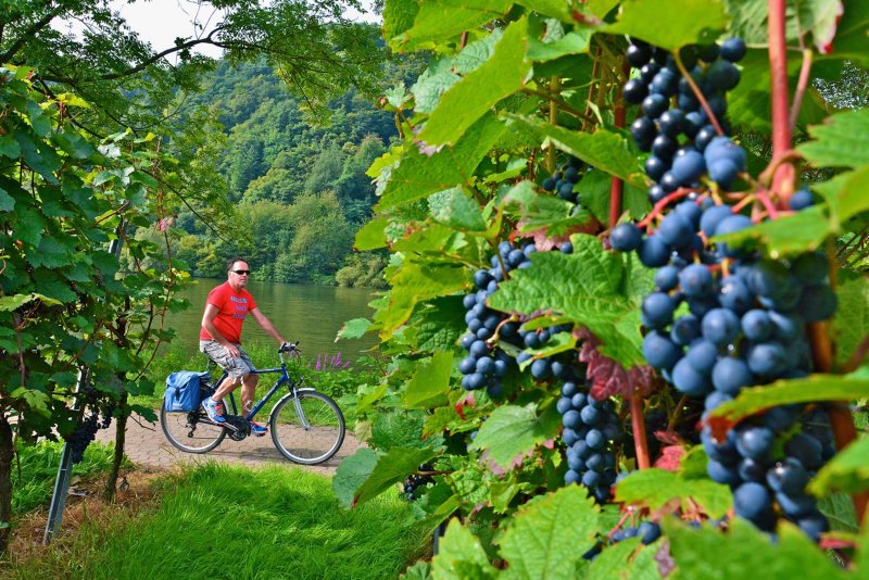 Along the Moselle