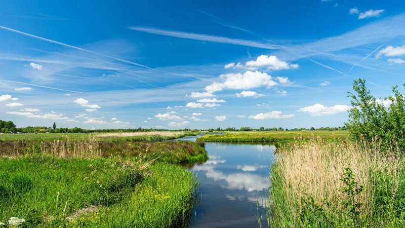 Polder Schiedam