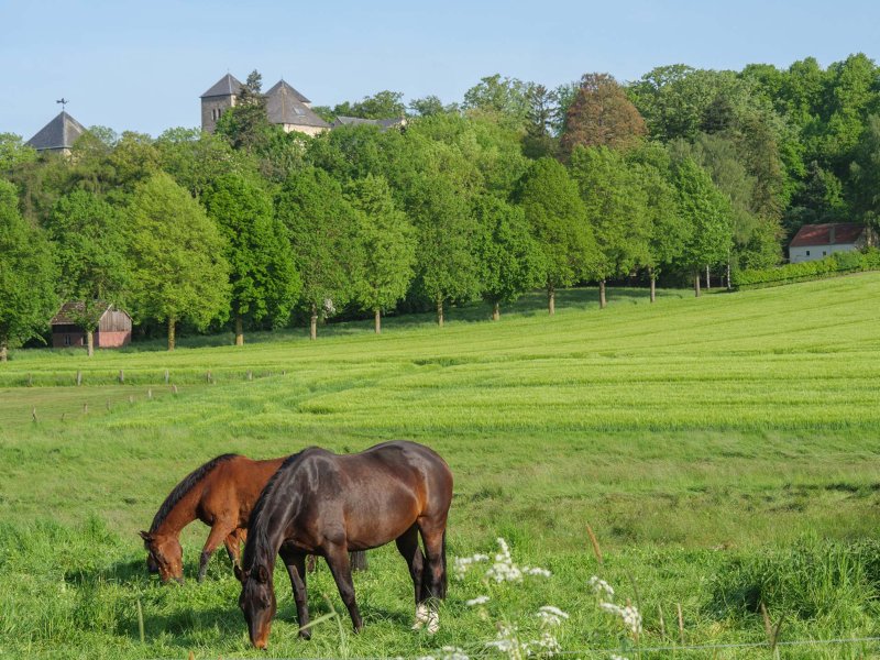 Near Billerbeck