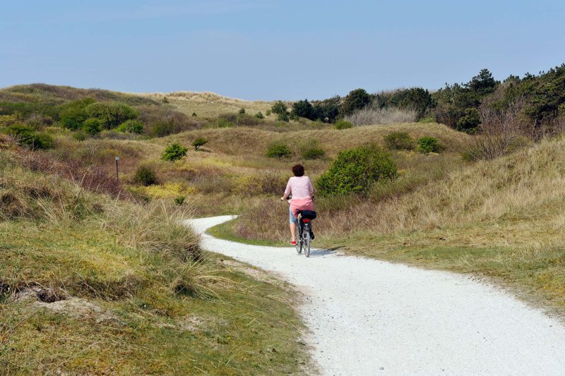 Ameland