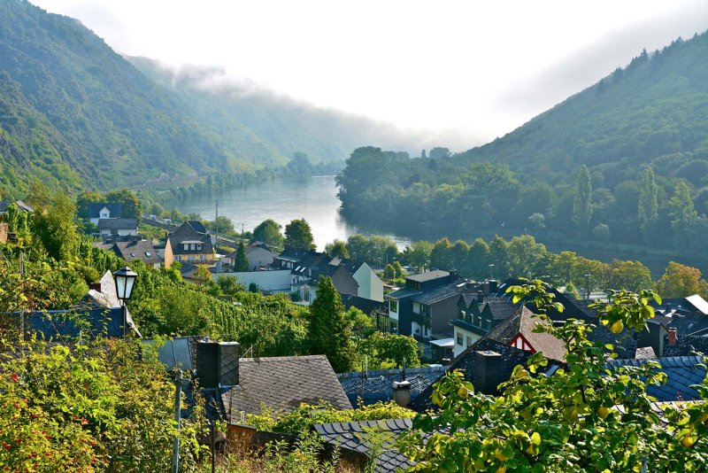 Along the Moselle