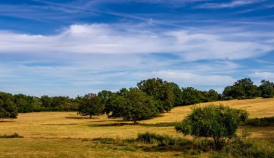 Souvigny