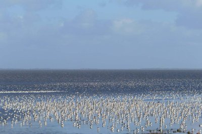 Cyclingtours Harlingen Wadden sea Franeker