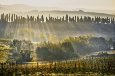 Chianti wine bella toscana